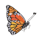 This is an image of a machine embroidery design by Stitches & Strokes, featuring a beautifully detailed Monarch Butterfly. This Monarch Butterfly Machine Embroidery Design is perfect for embroidery on denim, and women and girl's clothing.