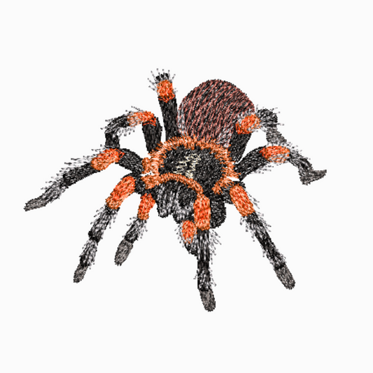 This is an image of a machine embroidery design featuring a Red Knee Tarantula spider.  Featuring intricate detailing and bold colours, this spider design will add a unique and eye-catching element to any project. Perfect for those who are passionate about spiders and unique and inspiring embroidery designs!