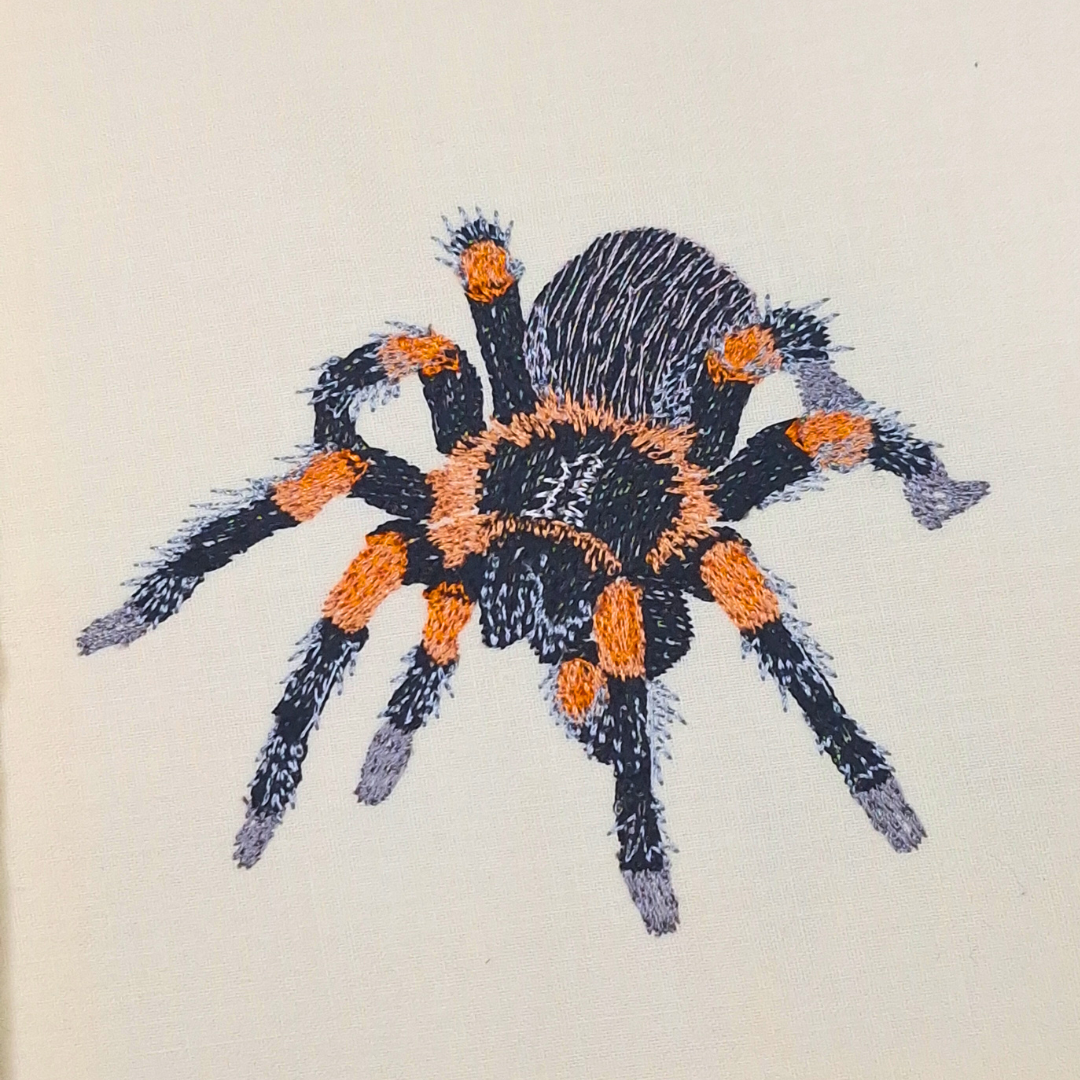 This is an image of a machine embroidery design featuring a Red Knee Tarantula spider. Featuring intricate detailing and bold colours, this spider design will add a unique and eye-catching element to any project. Perfect for those who are passionate about spiders and unique and inspiring embroidery designs!