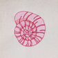 Spiral Sea Shell Machine Embroidery Design