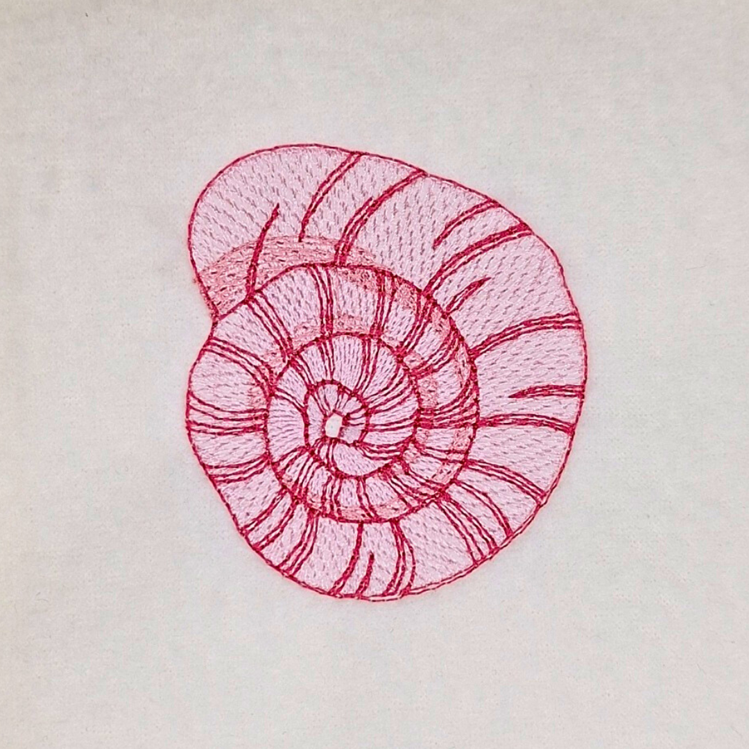 Spiral Sea Shell Machine Embroidery Design