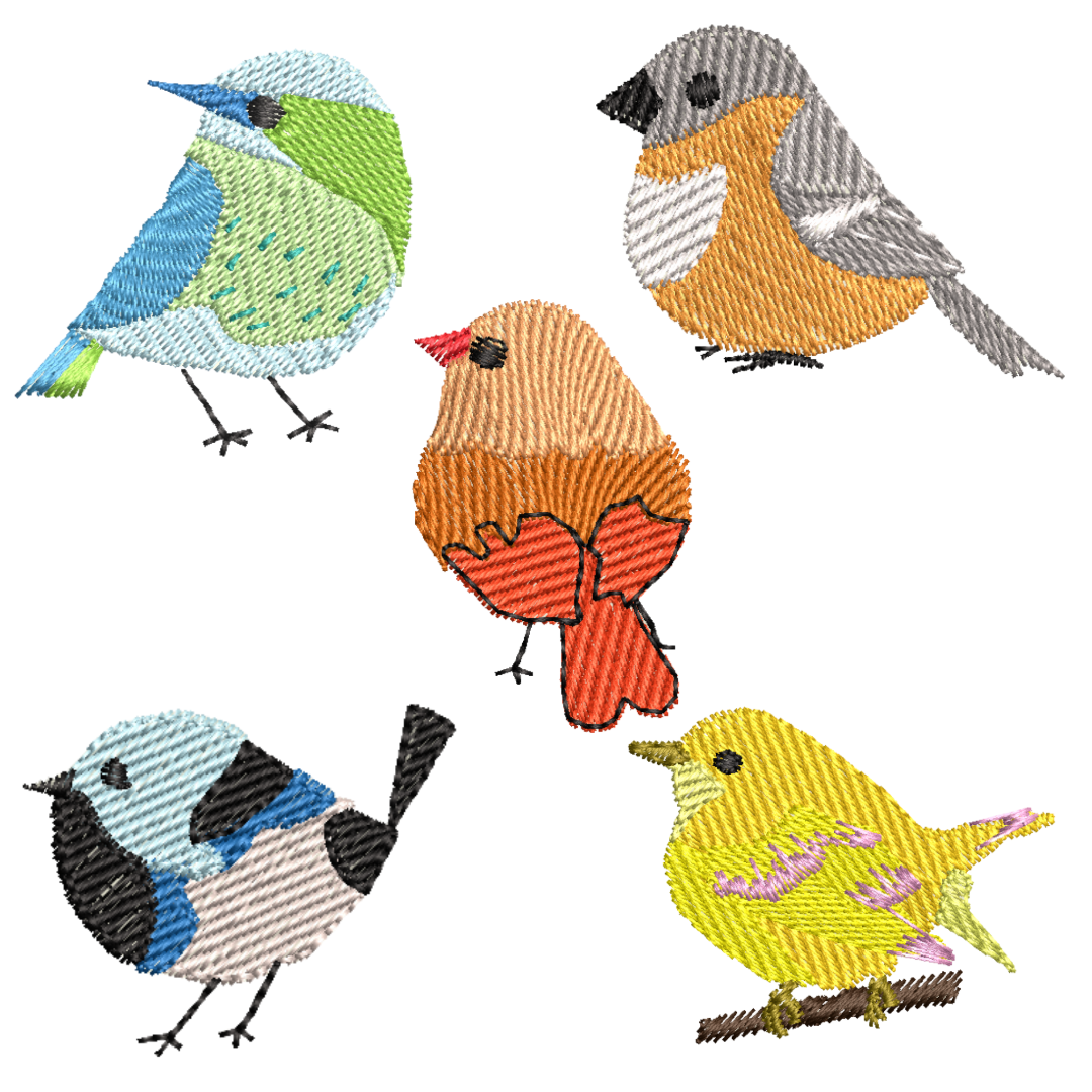 This is an image of a machine embroidery design by Stitches & Strokes, featuring a set of five miniature wild birds. These bird embroidery designs are perfect for embroidery on shirts, tea towels, denim jeans and jackets, and accessories like tote bags.